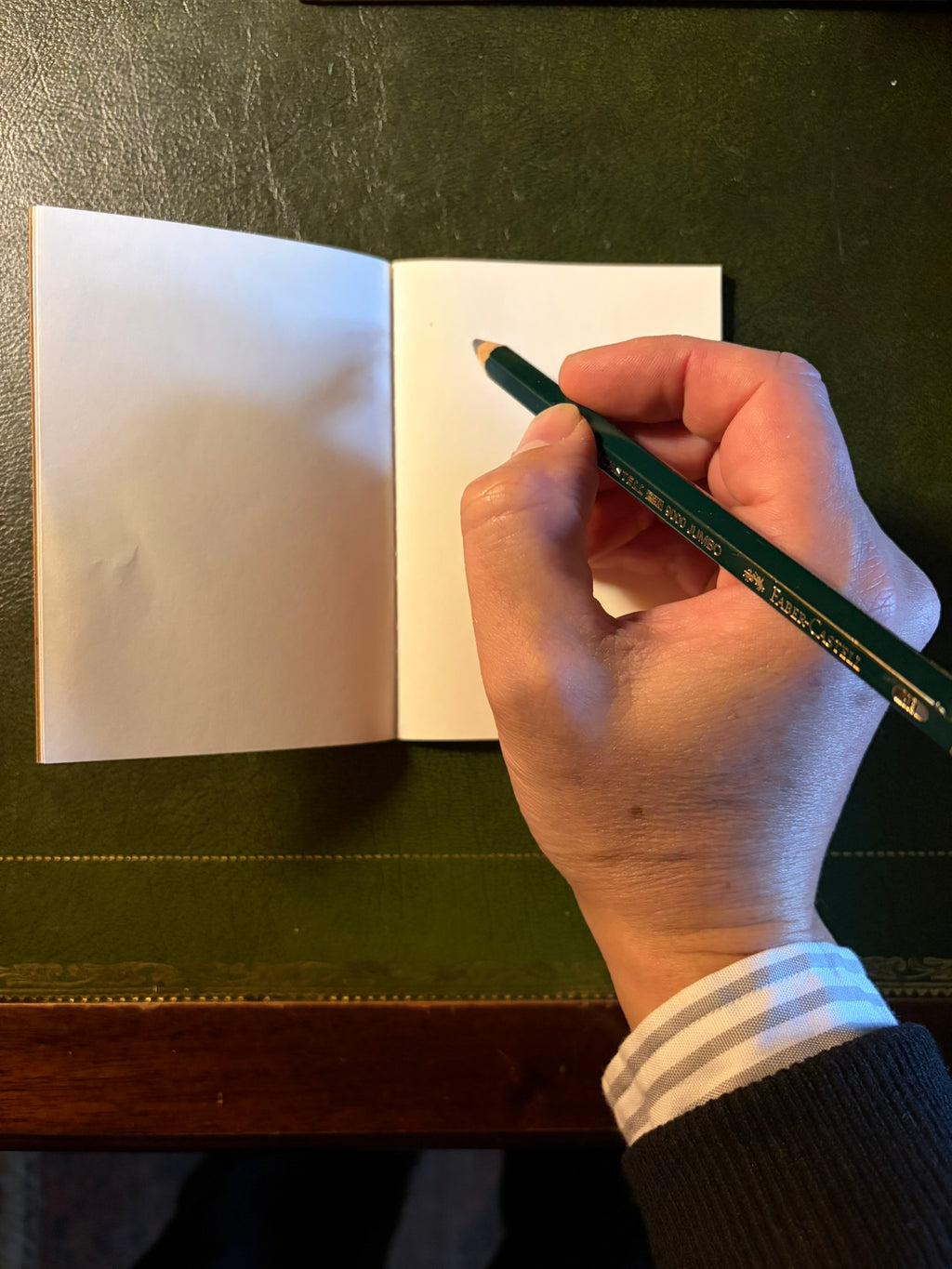 The Flying tapir field note book