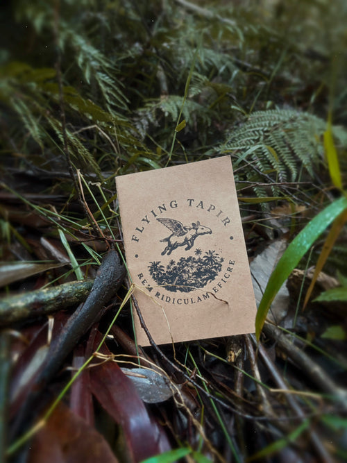 The Flying tapir field note book